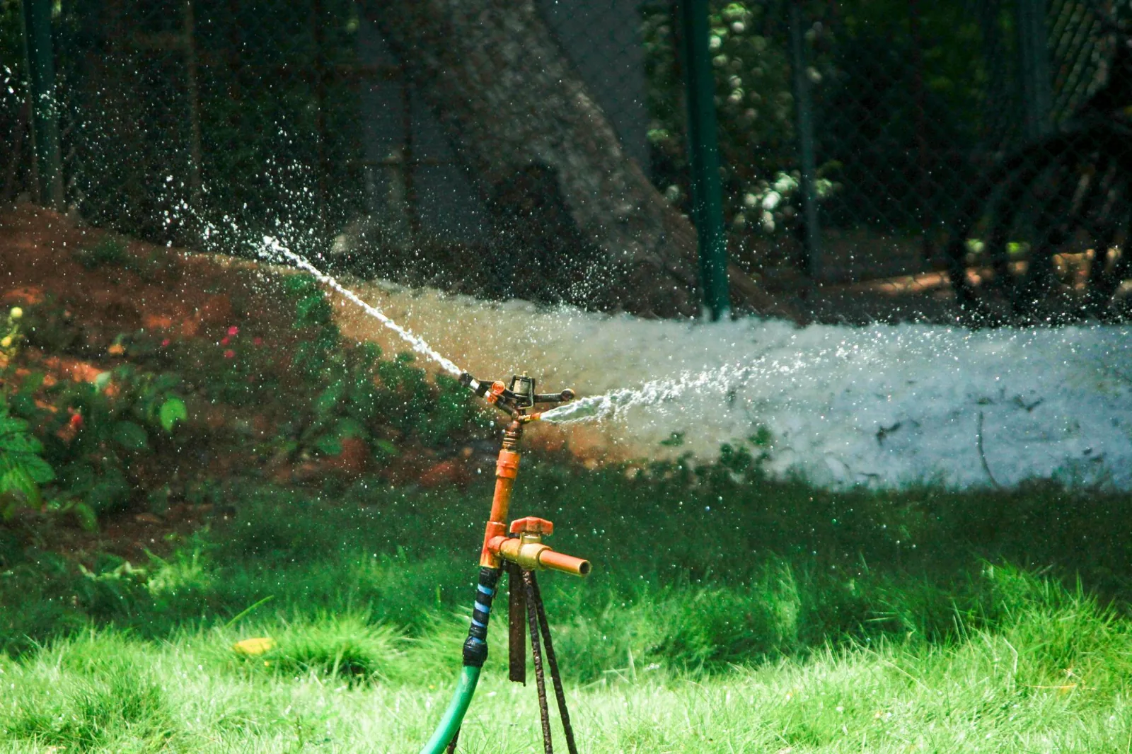 Drip irrigation vs sprinkler system — emitters and tubing being laid in a garden bed