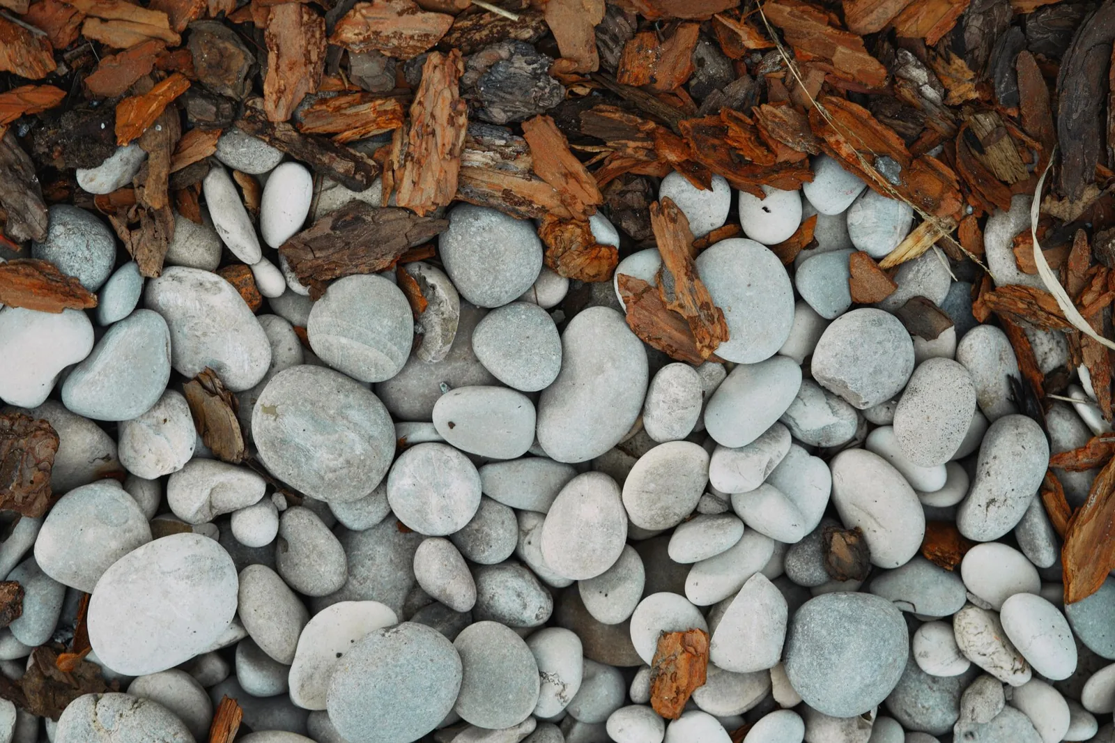 Mulch vs rock landscaping side by side in a garden bed