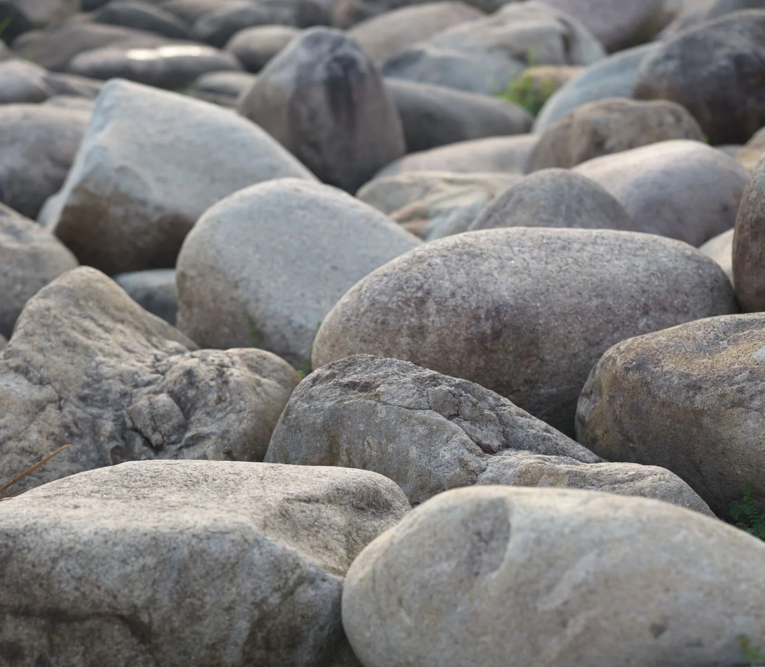 River rock landscaping ideas showing a dry creek bed winding through a garden with mixed-size smooth stones