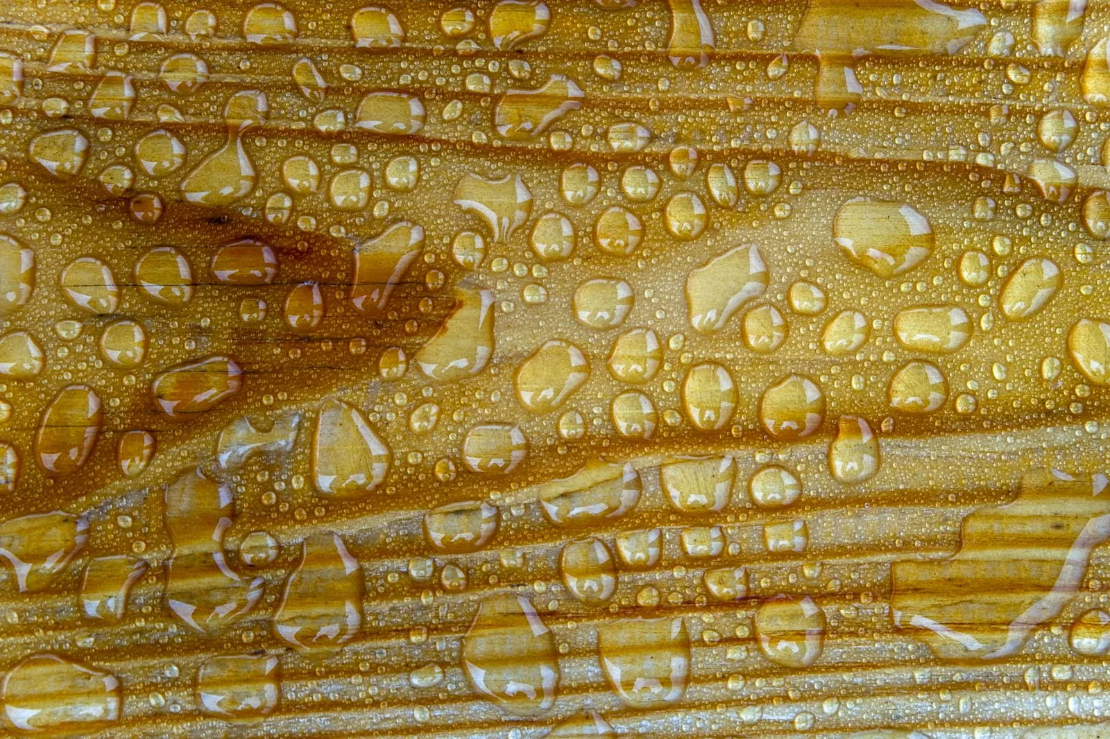 exterior wood sealer guide