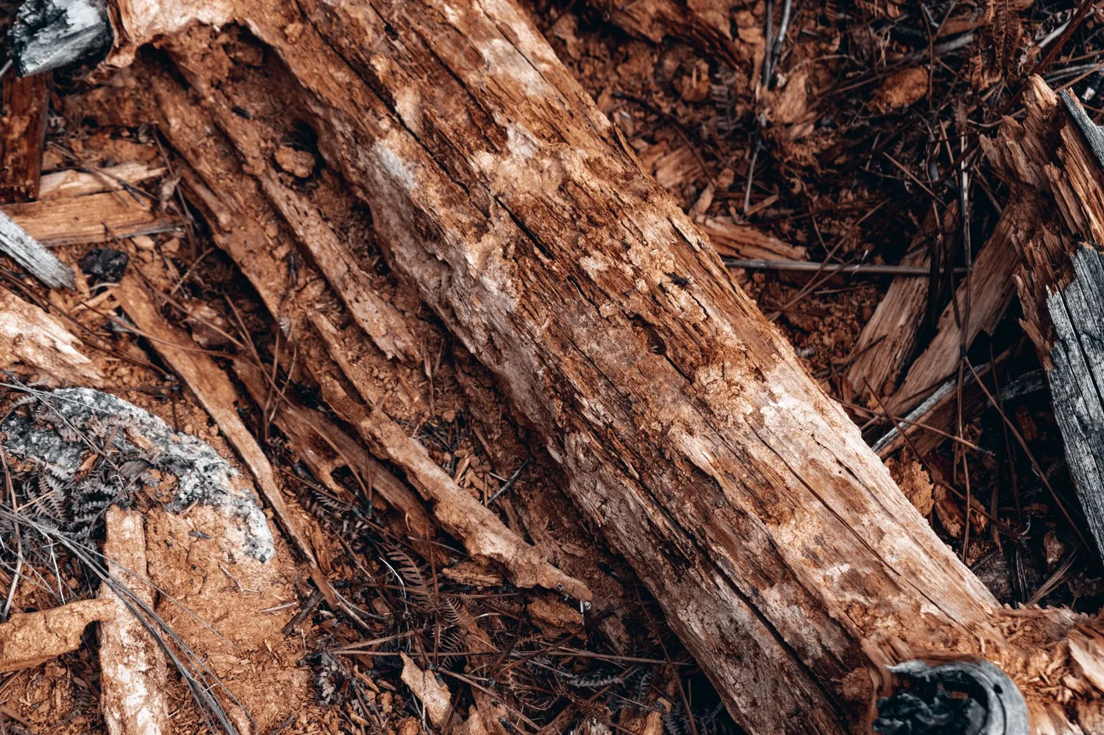 Wood rot repair cost on a rotted exterior window sill and frame