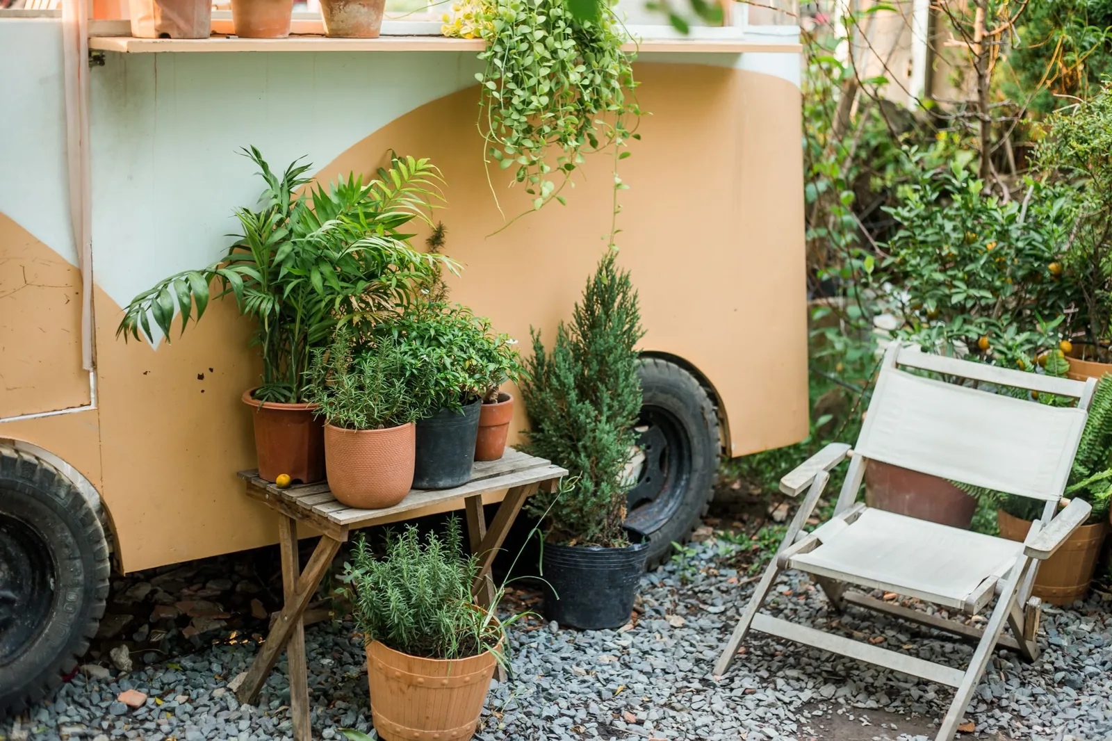 how to landscape a small backyard