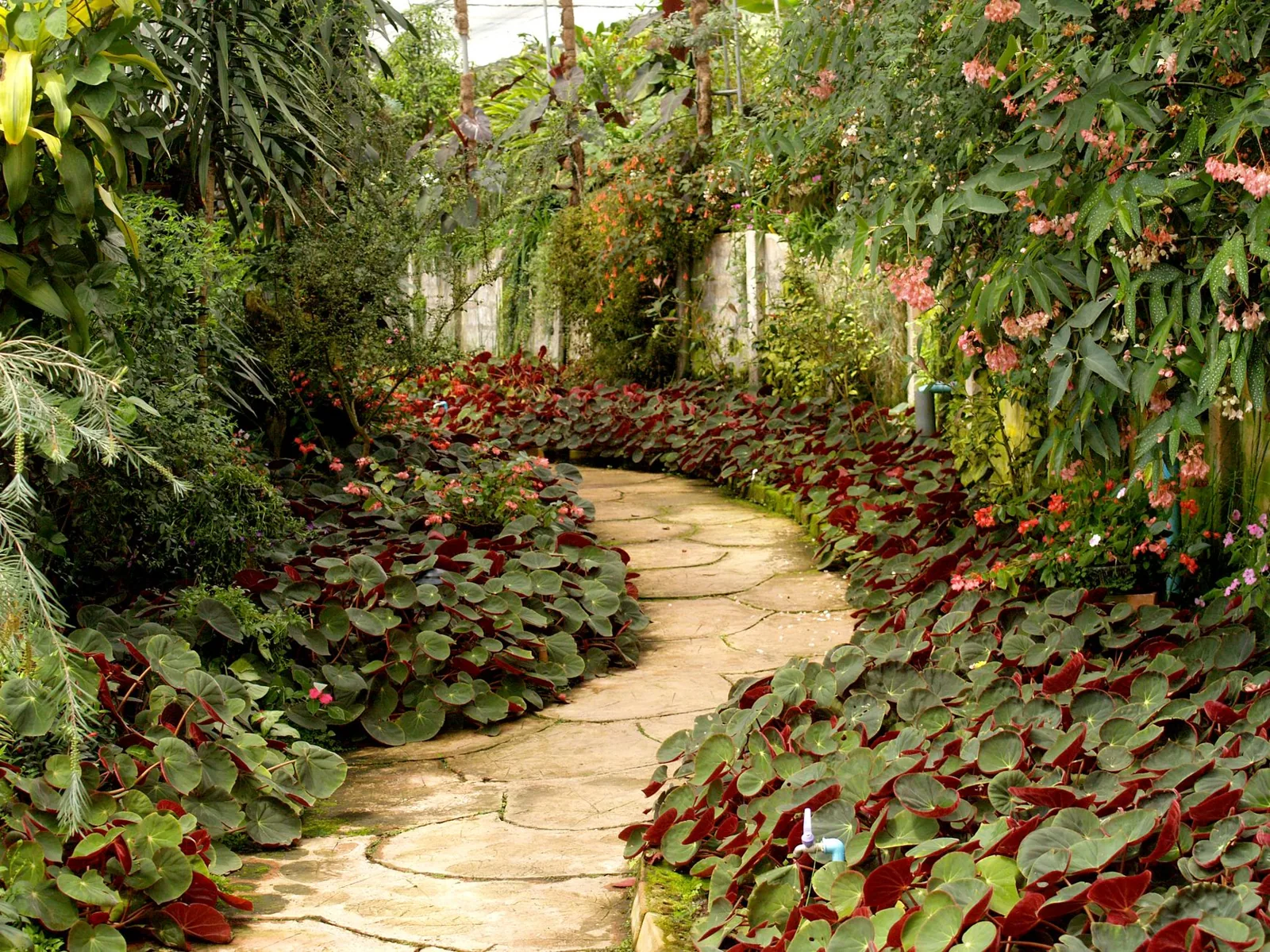 Landscaping cost per square foot depends on materials, labor, and site access