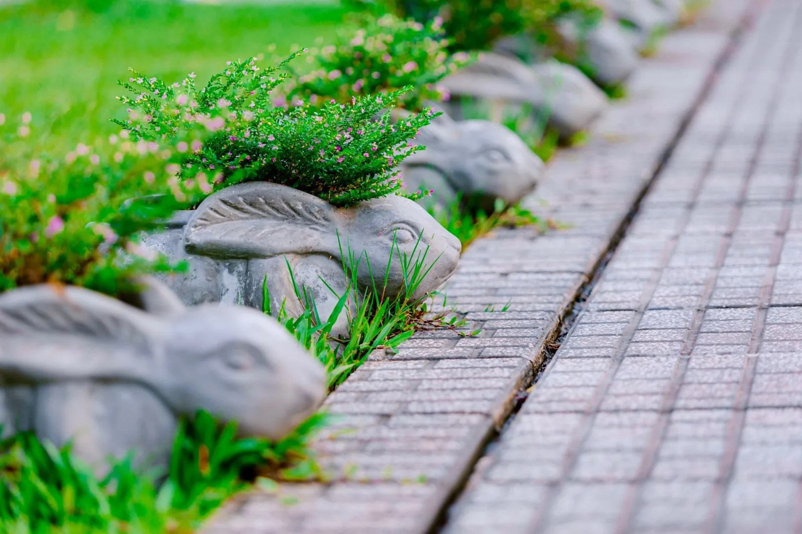 lawn edging ideas