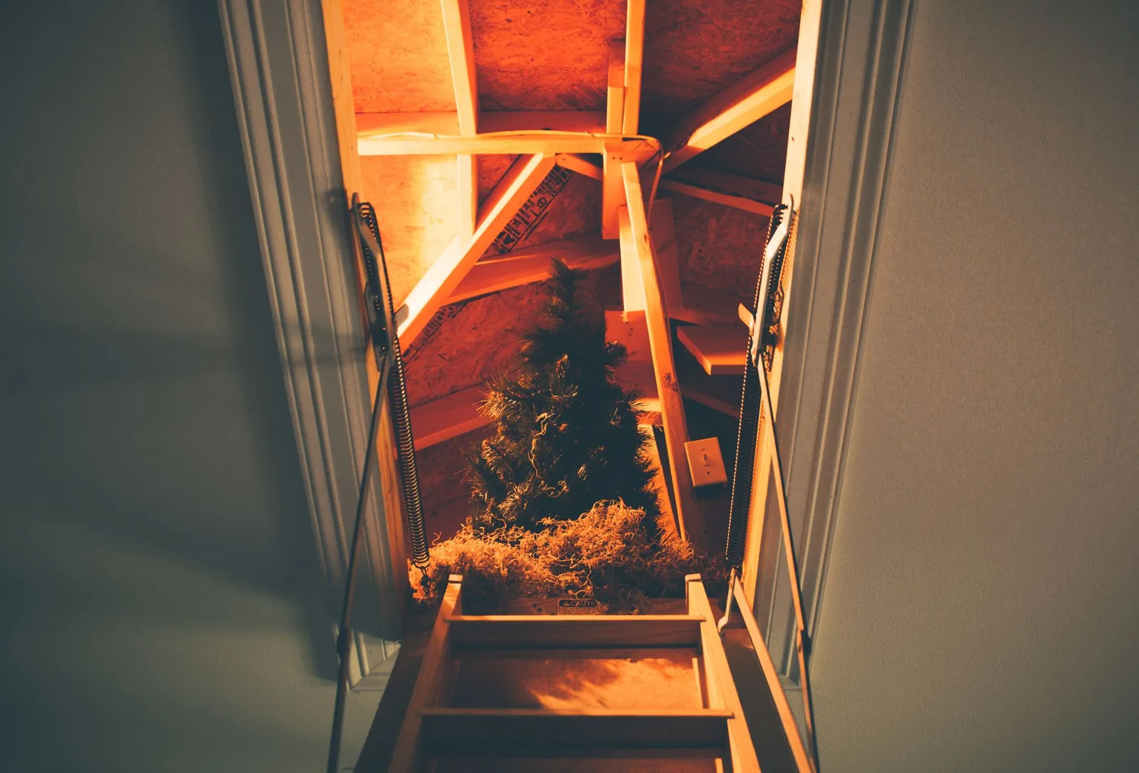 Proper coverage — not just material price — determines how far your attic insulation cost goes