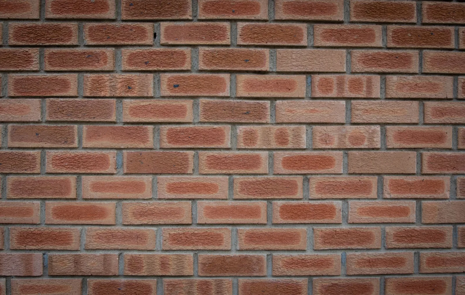 close-up of fresh mortar being packed into brick joints