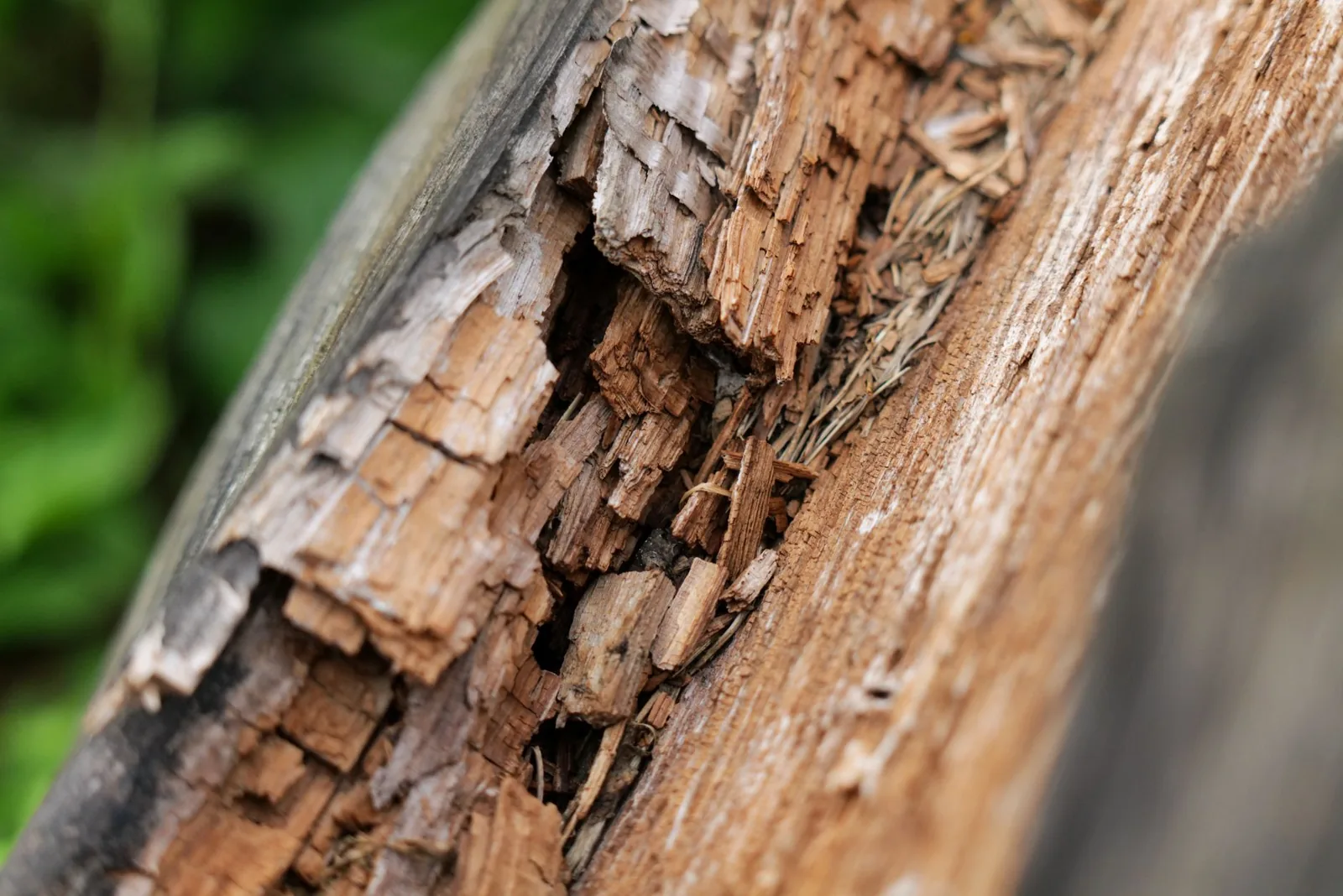 Repairing deep wood rot on a fascia board with wood filler and a scraper