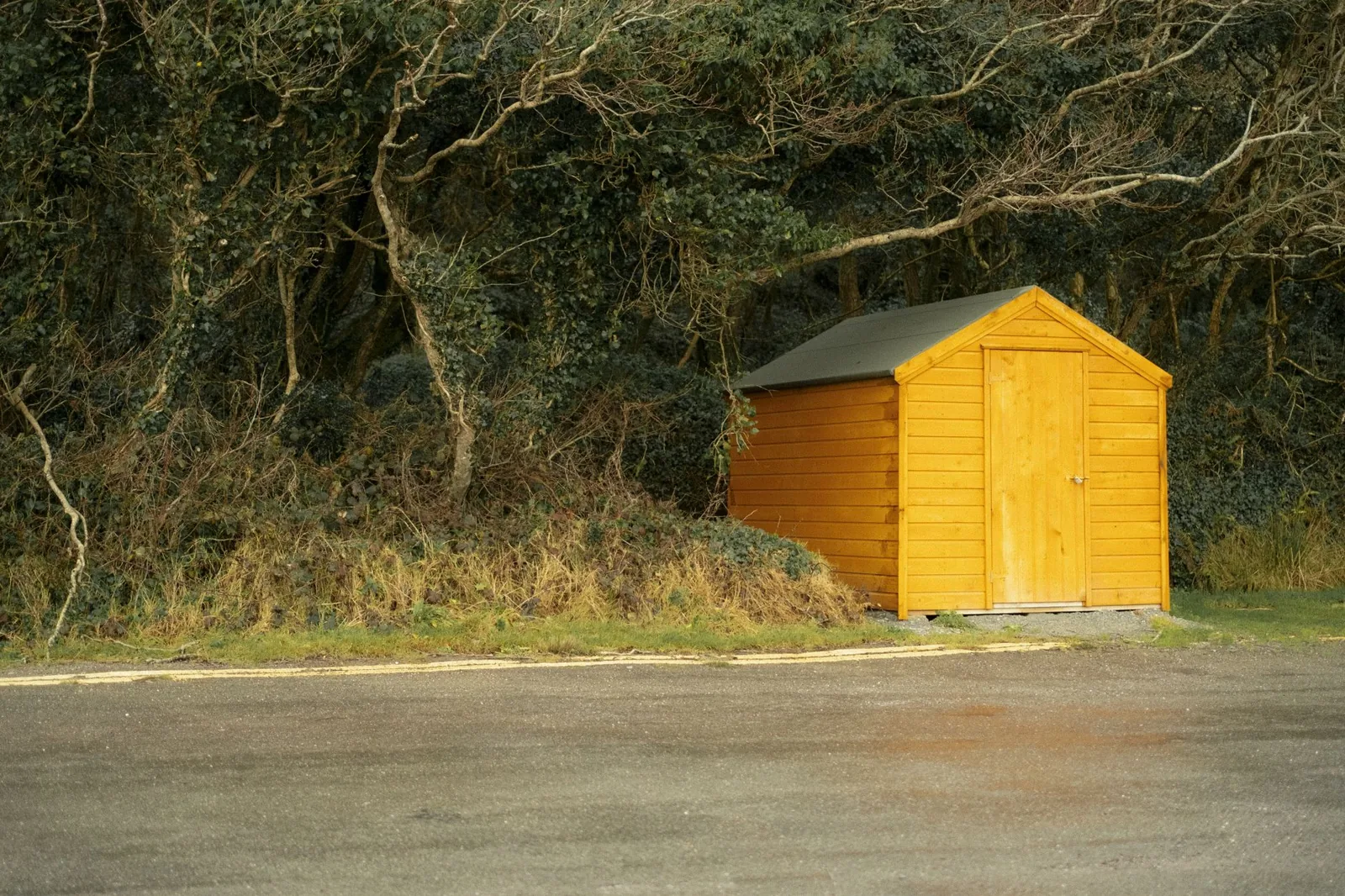 a wooden garden shed with shelving and tools