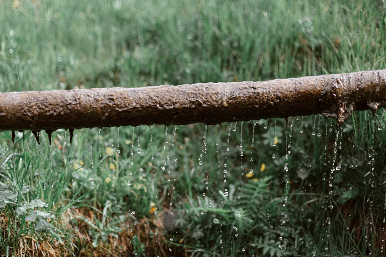 A gravel-lined backyard drainage trench directing water away from a home