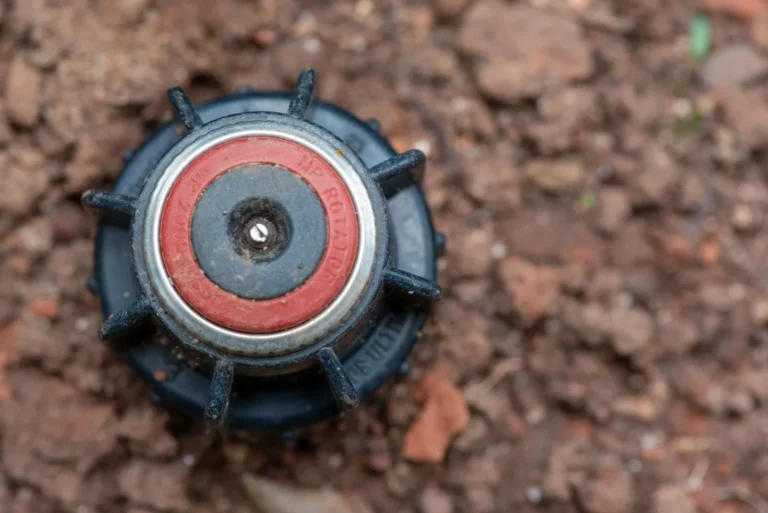 Drip Irrigation vs Sprinkler System: Which Is Right for Your Yard?