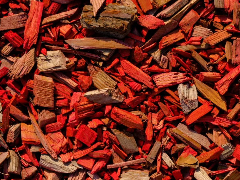 Mulch vs. Rock Landscaping: Which Ground Cover Is Right for Your Yard?