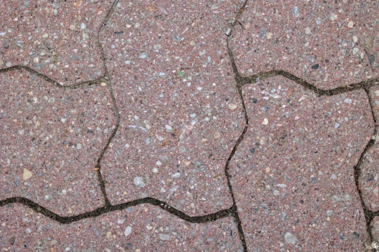 Paver Walkway Ideas That Instantly Upgrade Your Curb Appeal