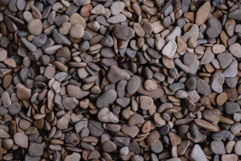 River Rock Landscaping Ideas: 15 Low-Maintenance Ways to Use Decorative Stone