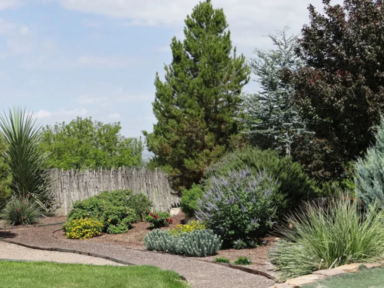 Xeriscaping Ideas for Front Yard: A Water-Wise Curb Appeal Guide