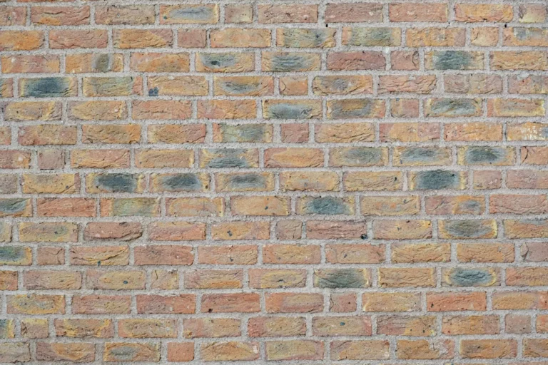 Pointing Brick Wall: Cost, Tools, and a Step-by-Step Repair Guide