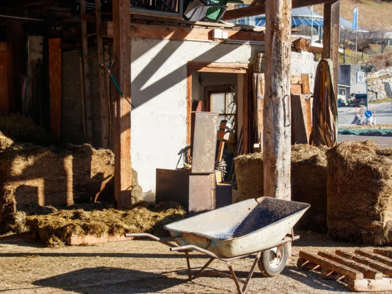 How to Build a Shed: A Step-by-Step DIY Guide