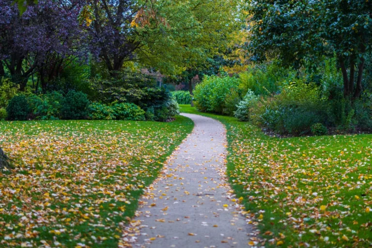 Garden Path Ideas: 25 Walkways for Every Yard and Budget