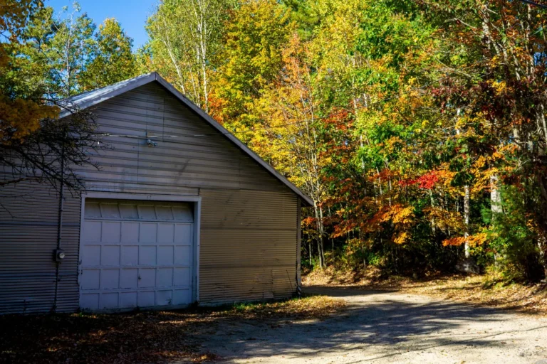 Shed vs Garage Pros Cons: Which Storage Building Fits Your Yard?