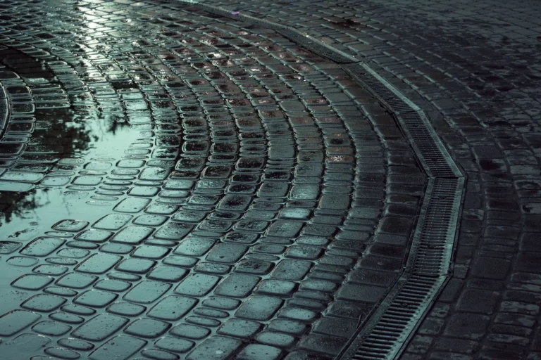 Backyard Drainage Solutions: Fix Standing Water and Protect Your Home