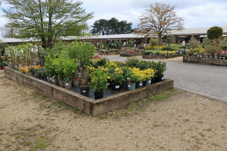 Landscaping Cost per Square Foot: A Realistic 2026 Price Breakdown